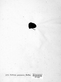 Image Associated With the Occurence